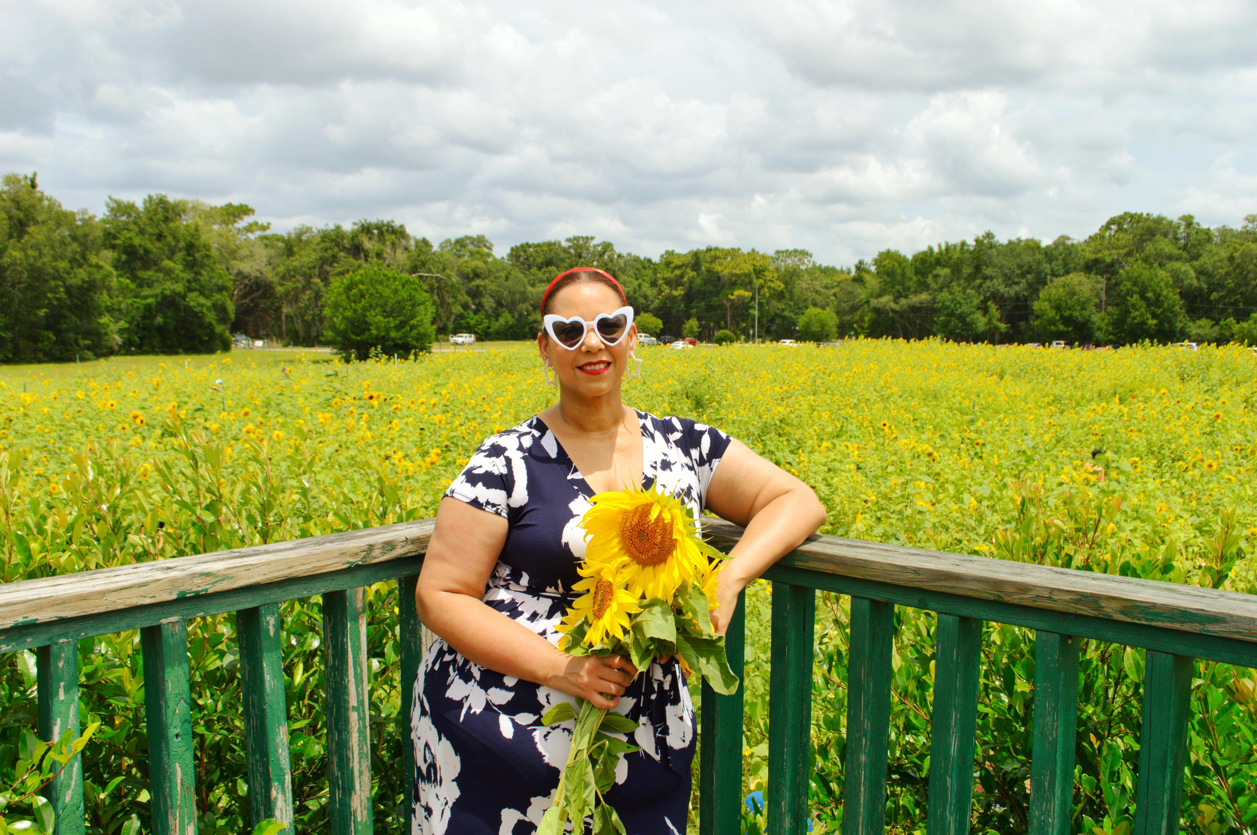 Sunflower Field In Florida